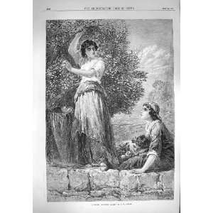 1870 Scene Gathering Mulberry Leaves Tree Topham Print 