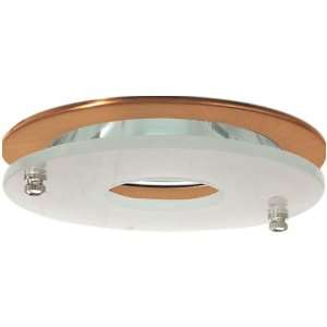   Low Voltage Adjustable Clear Reflector with Suspend