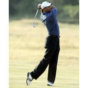  Tiger Woods , 12x14