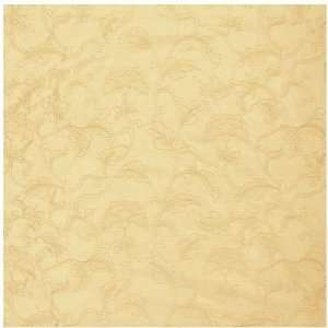  Stout PENCE 5 CHAMPAGNE Fabric Arts, Crafts & Sewing