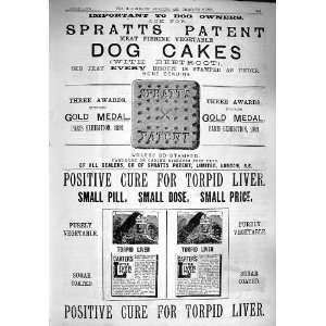   Spratts Dog Cakes Carters Liver Pill 