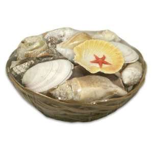 Seashells & Starfish Wooden Basket 6D