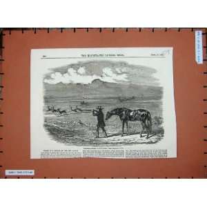  1856 Springbok Hunting South Africa Sport Man Horse Gun 