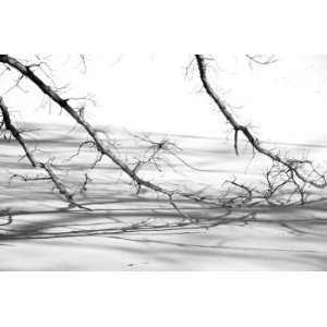  Winters Pond 01, Limited Edition Photograph, Home Decor 