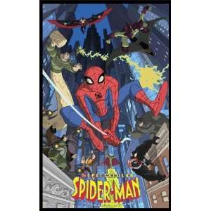 The Spectacular Spider Man Movie Poster (11 x 17 Inches   28cm x 44cm 