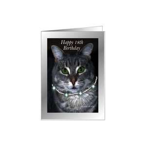  18th Happy Birthday ~ Spaz the Cat Card Toys & Games