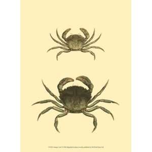  Antique Crab I   Poster by James Sowerby (10x13)