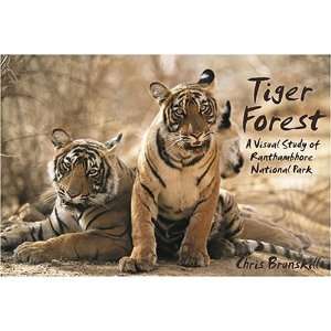  Tiger Forest A Visual Study Of Ranthambhore Park 