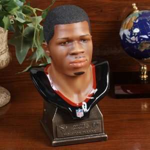  NFL Houston Texans #80 Andre Johnson Player Bust Sports 