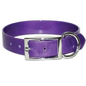  Sunglo Regular Collar 1 Wide   Purple   30