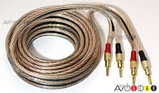 NEW 15 Feet AR MS315C SILVER/COPPER 10AWG Speaker Wire  