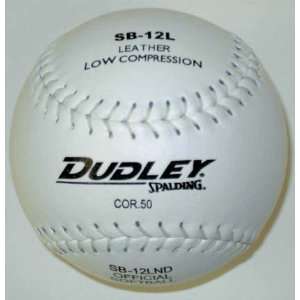  Dudley (SB12LND) Slow Pitch Softball (Set of 5) Sports 