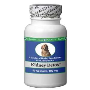  Canine Kidney Detox Solution