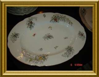 ANTIQUE French 1867 PILLIVUYT & CIE 74 Pcs. Dinner Service From 