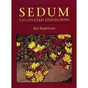    Sedum Cultivated Stonecrops [Paperback] Ray Stephenson Books
