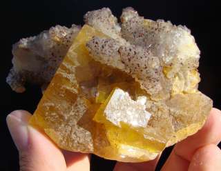   FLUORITE Crystal +QUARTZ   Germany, POHLA    classic from Erzgebirge