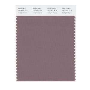  PANTONE SMART 18 1807X Color Swatch Card, Twilight Mauve 