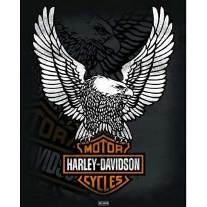  Harley Davidson   Eagle Transportation Mini Poster Print 