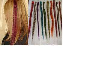   Animal Print Clip In Hair Extensions Hot Colors and Styles  