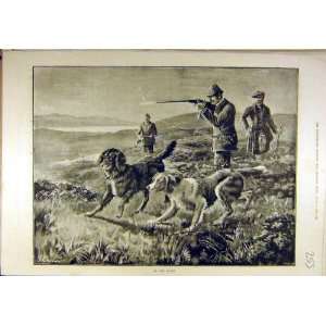  1889 Moors Hounds Gun Dogs Shooting Sport Print