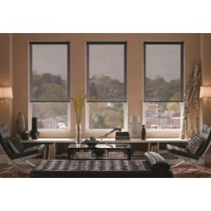  Select Blinds American SheerWeave 10% Roller Shades 46x36 