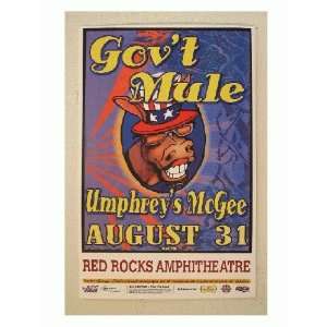    Government Mule Poster Govt Cool Background 