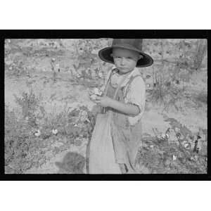 Photo Son of a cotton sharecropper, Lauderdale County, Mississippi 