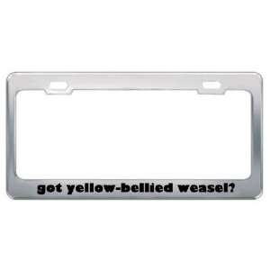 Got Yellow Bellied Weasel? Animals Pets Metal License Plate Frame 