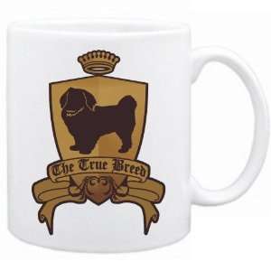  New  Tibetan Spaniel   The True Breed  Mug Dog