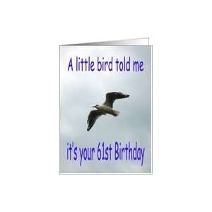  Happy 61st Birthday Flying Seagull bird Card Toys & Games
