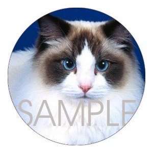   pcs   ROUND   Designer Coasters Cat/Cats   (CRCT 001)