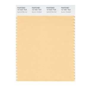  PANTONE SMART 13 1031X Color Swatch Card, Apricot Sherbet 