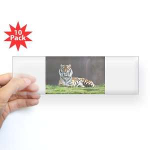  Bumper Sticker Clear (10 Pack) Bengal Tiger Stare HD 