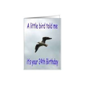  Happy 24th Birthday Flying Seagull bird Card Toys & Games