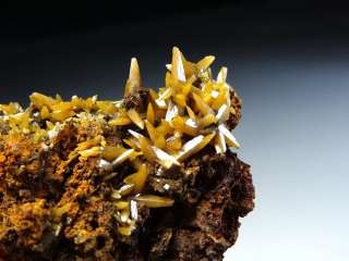 Yellow Wulfenite Crystal Cluster #4  