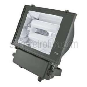   Cut Off Flood Induction Fixture with 100/50% Bi Level Dimming   10