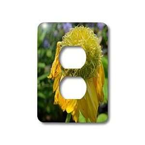 Patricia Sanders Flowers   cutest yellow flower   Light Switch Covers 