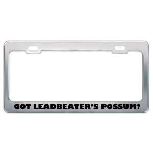 Got LeadbeaterS Possum? Animals Pets Metal License Plate Frame Holder 