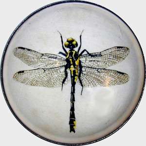   Dome Button Dragonfly   Black & Gold   Large Size DFLY 22  