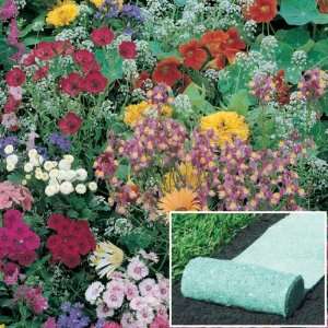  Olde English Roll Out Flowers Patio, Lawn & Garden