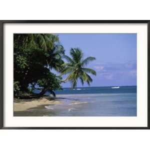  Cape Samana, Dominican Republic Collections Framed 