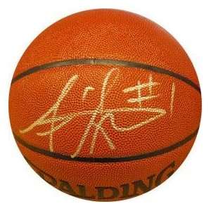  Amare Stoudemire Signed Basketball   Indoor Outdoor 