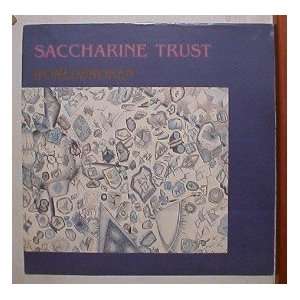 Saccharine Trust Poster Flat