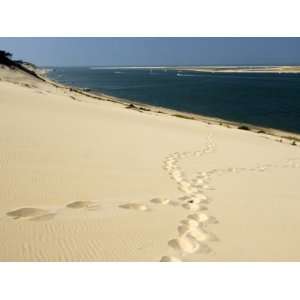 com Dune Du Pyla, Bay of Arcachon, Cote DArgent, Gironde, Aquitaine 