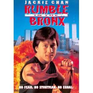  Rumble in the Bronx Movie Poster (11 x 17 Inches   28cm x 