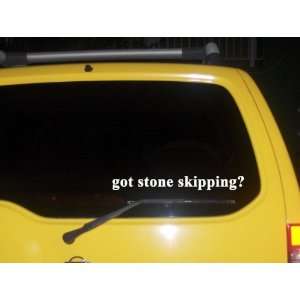  got stone skipping? Funny decal sticker Brand New 