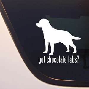 GOT CHOCOLATE LABS? LABRADOR RETRIEVER DOG DECAL   LAB  