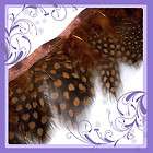 F311 PER FEET Purple Guinea Hen Hackle feather fringe Trim Fascinator 