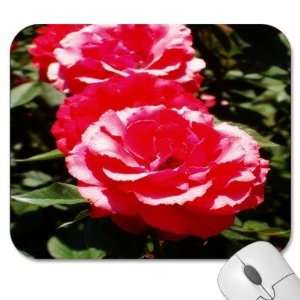   75 Designer Mouse Pads   Flowers Roses (MPRO 013)
