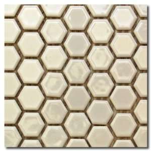  Glossy White Hexagon Mosaic 1